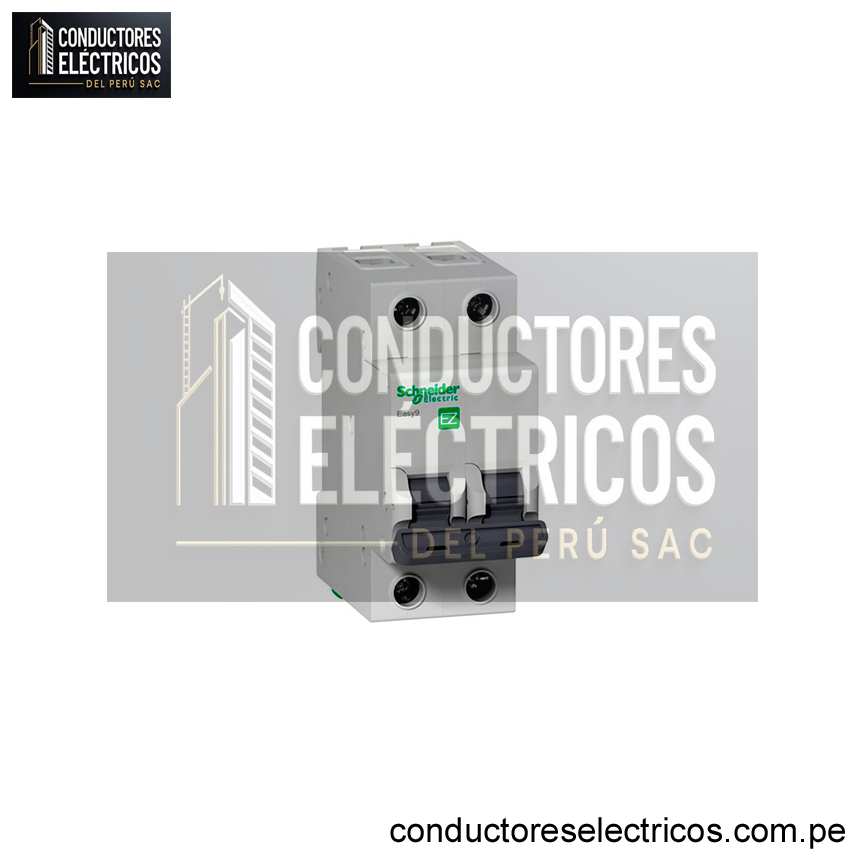 INTERRUPTOR TERMOMAGNÉTICO 2X63 A -10KA/220VAC EZ - SCHNEIDER