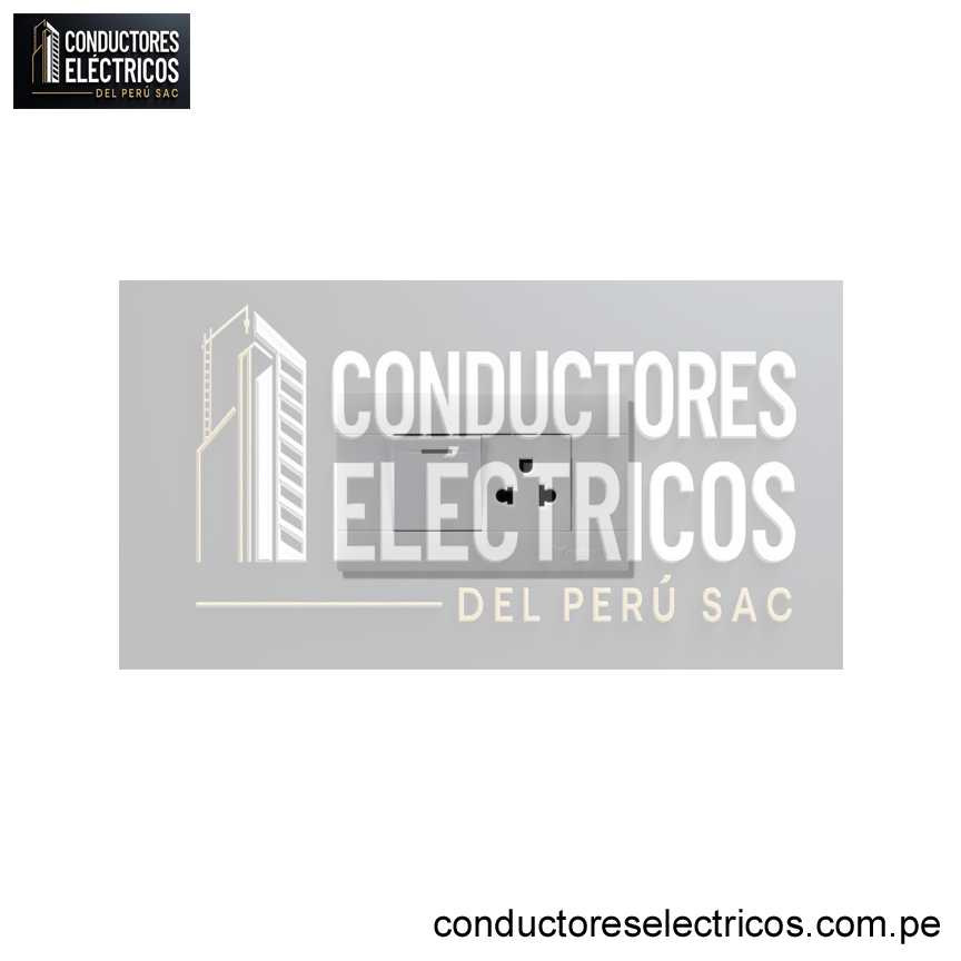 TOMACORRIENTE+INTERRUPTOR MIXTO