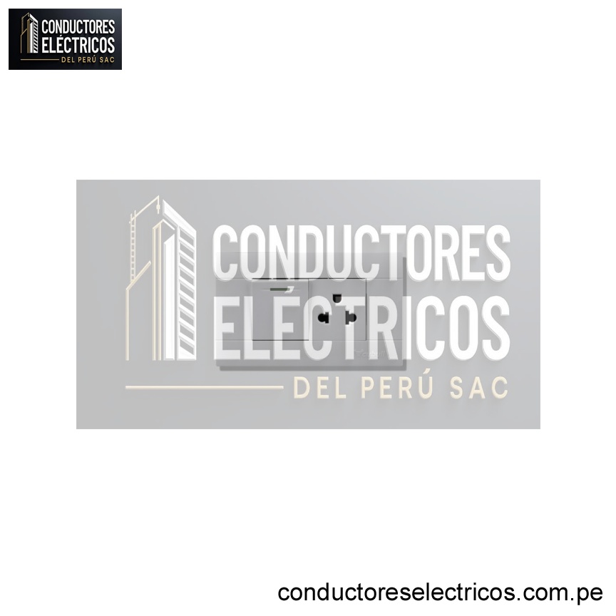 TOMACORRIENTE+INTERRUPTOR MIXTO