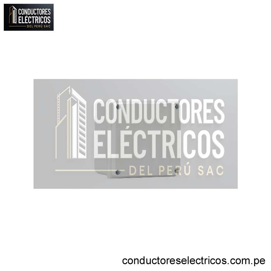 CAJA DE PASE PVC 25X25X10