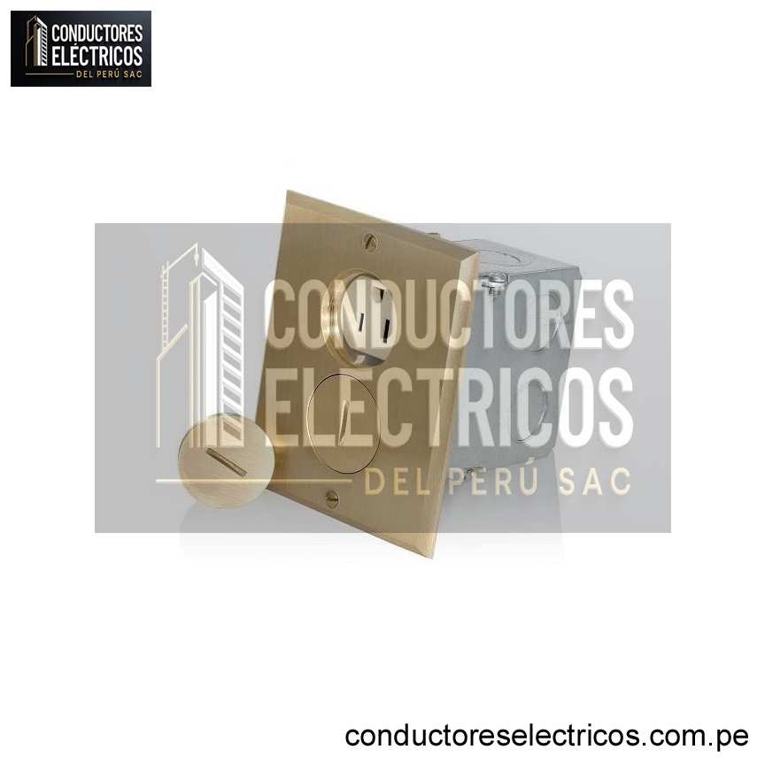 TOMACORRIENTE DE PISO DOBLE