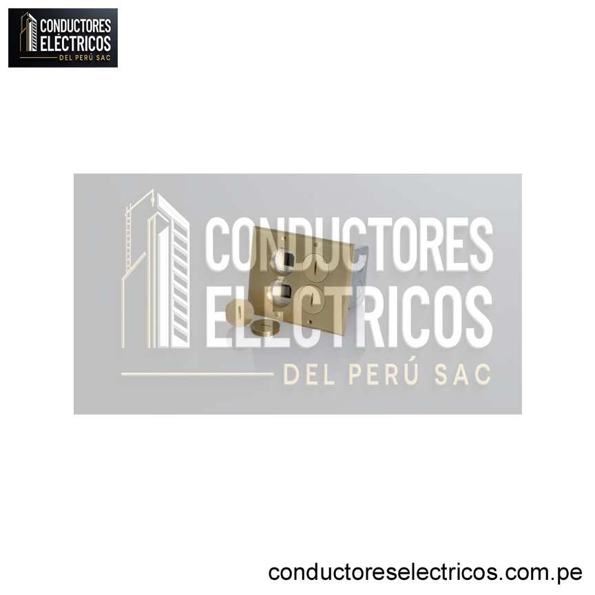 TOMACORRIENTE DE PISO DE DATA